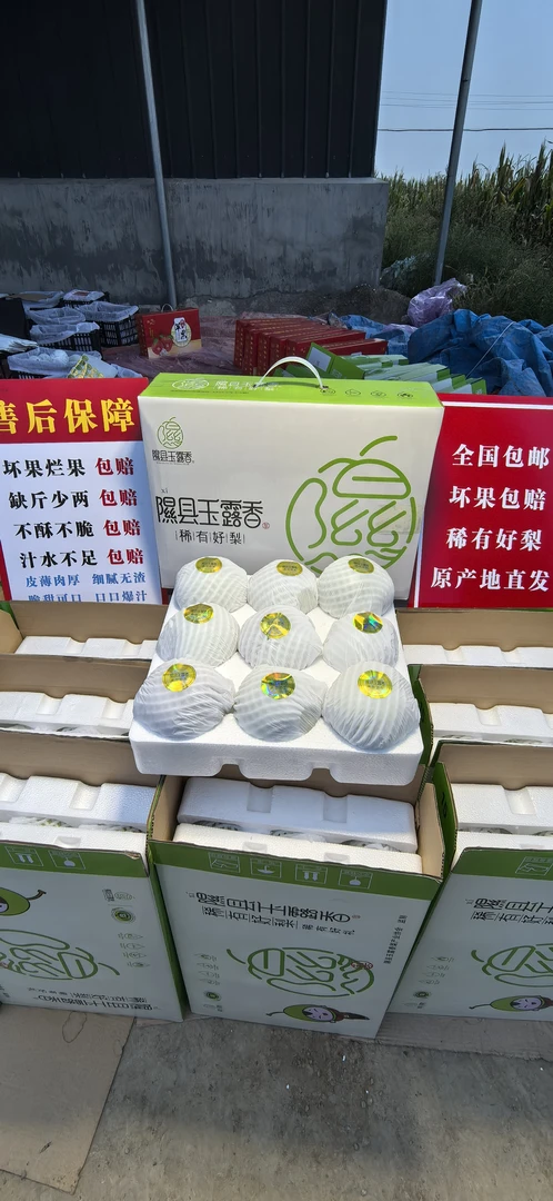 正宗隰县玉露香梨应季水果脆甜多汁皮薄无渣