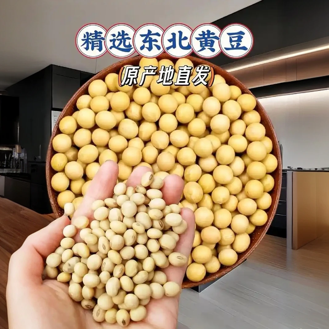 东北黄豆精选农家黄豆寒黑土地产地直发5斤