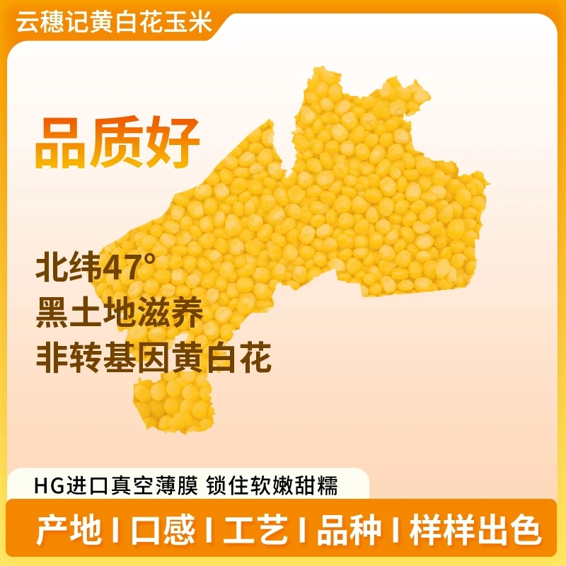 25年头茬黄白花玉米云穗记保底5斤甜甜糯糯