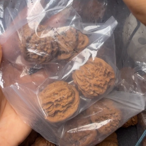 文玩核桃吊坠血麒麟，南疆石四座楼