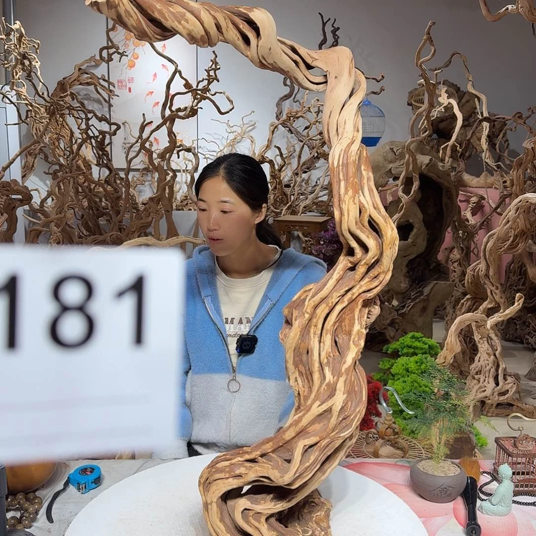 风车木（黑檀木）牛*途