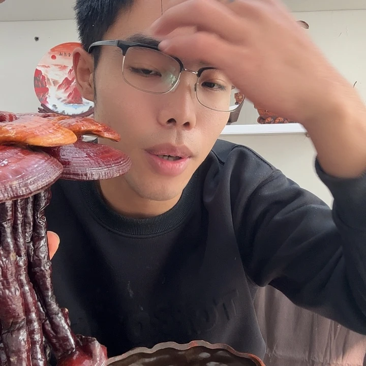 无花朵灵芝盆景居家盆景