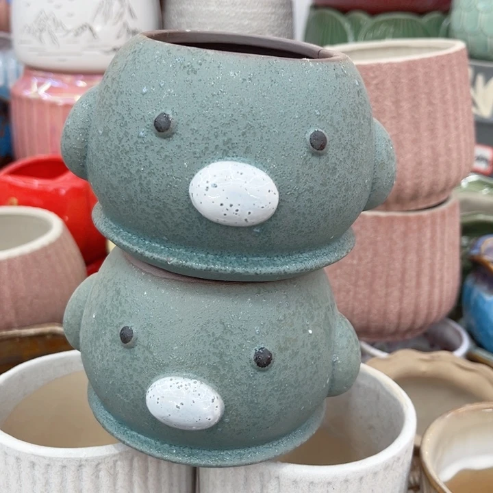 多肉植物陶瓷花盆