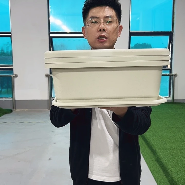 小菜盆长38宽28高14米色3只带托