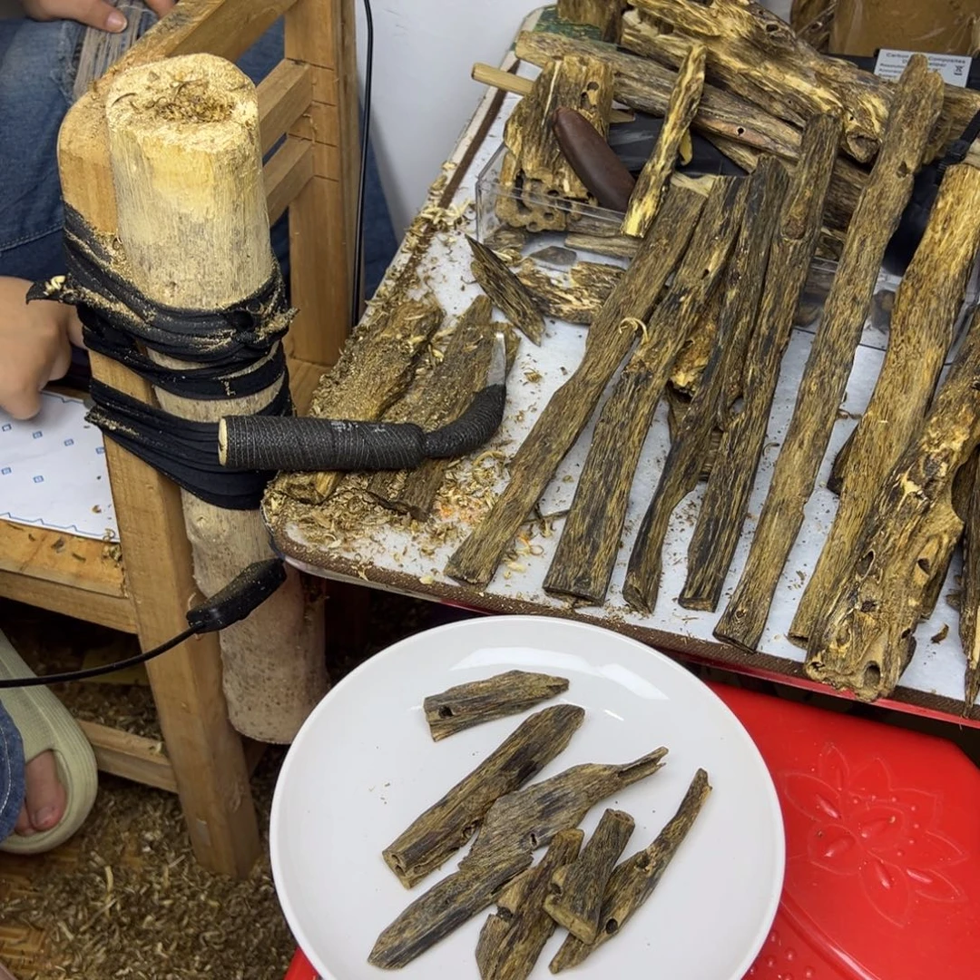 线香奇楠虫漏香44克