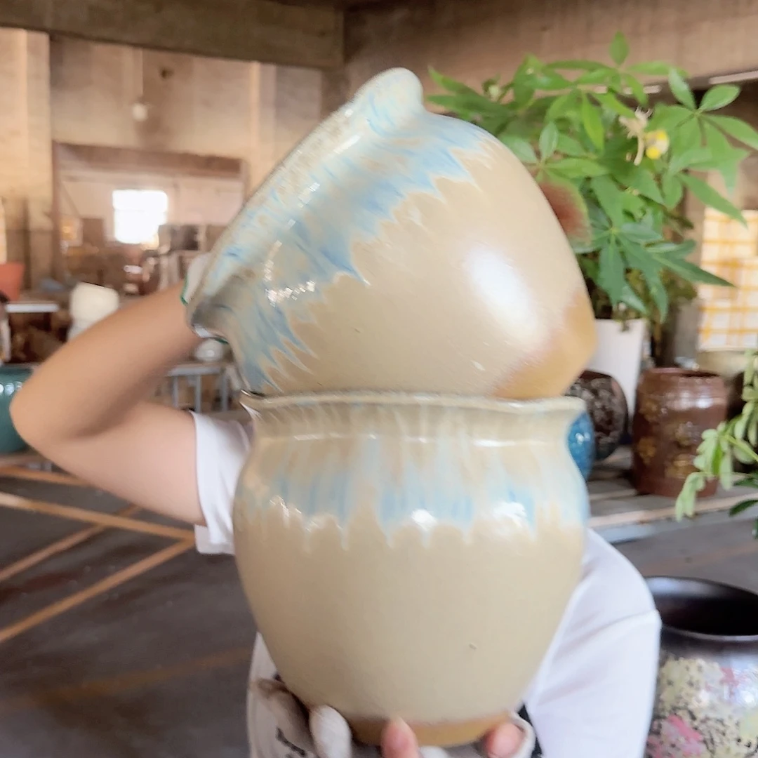 王嫂花盆直播0825-高度18口18