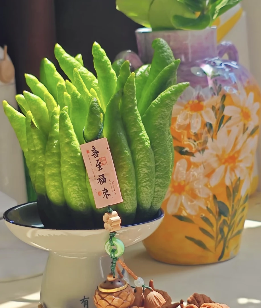 【精品佛手柑一物一拍】新鲜佛手柑观赏客厅办公室车载植物香薰7