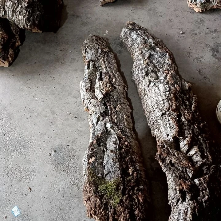 木一物一拍一物一发