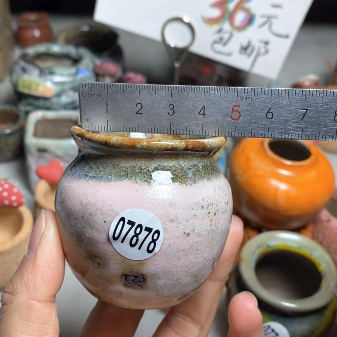 花盆拍5送一个小礼物