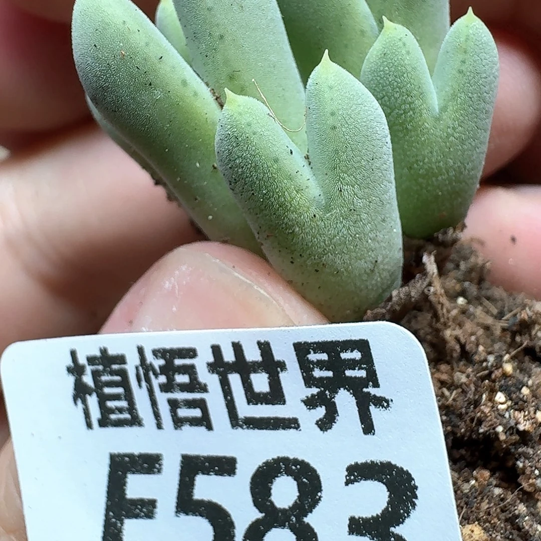 的润泽的润泽的润泽的润泽