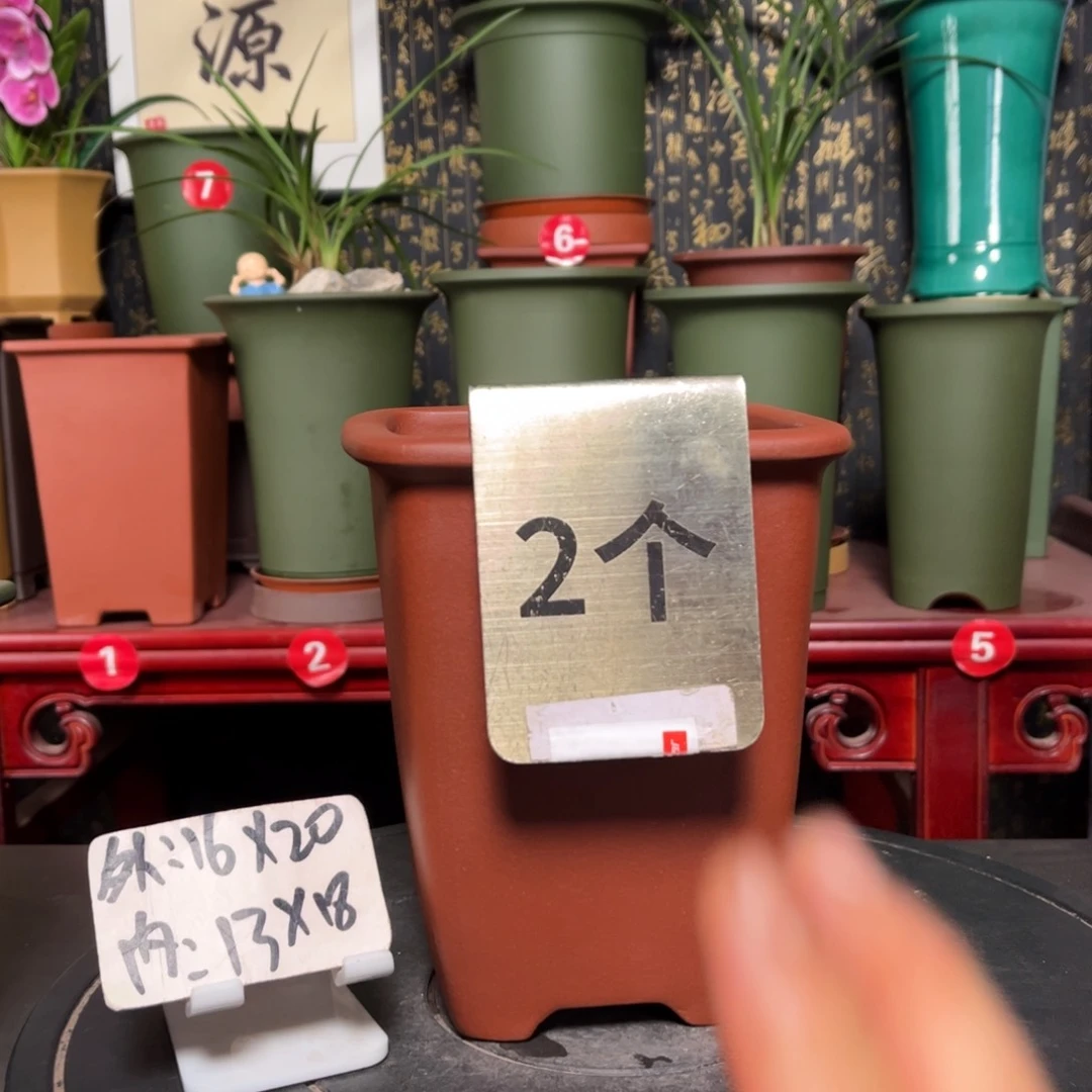 紫砂花盆紫砂花盆