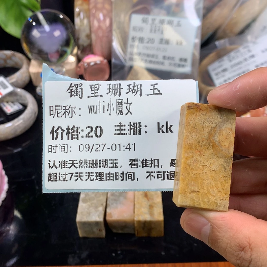 【闪购商品】颈饰未镶嵌硅化珊瑚（珊瑚玉）w****女