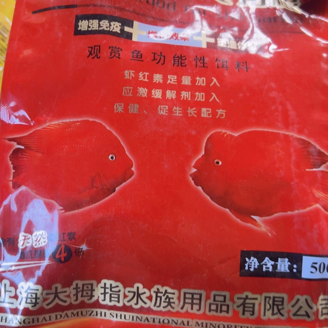 血鹦鹉