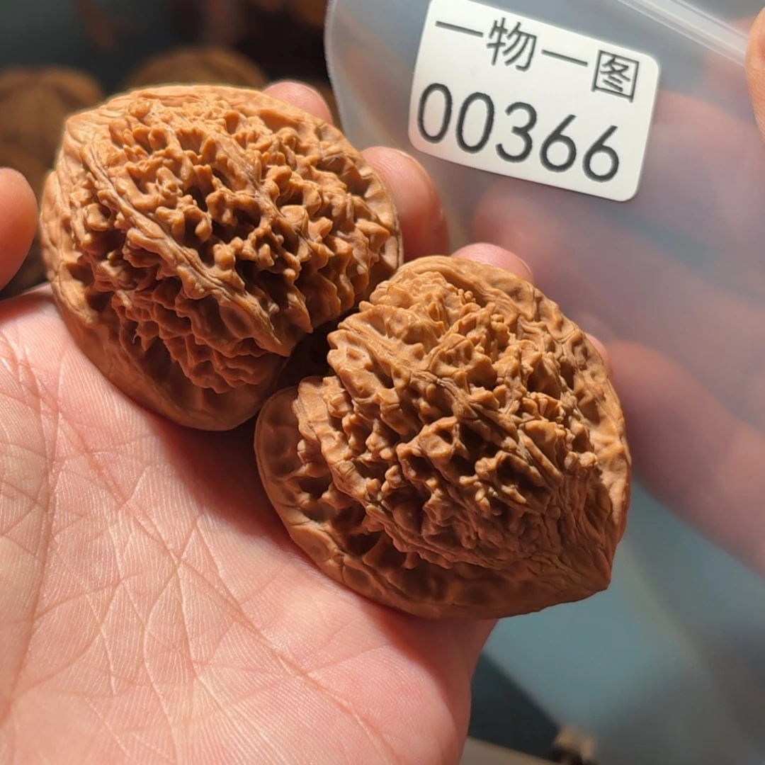 文玩核桃把件满天星