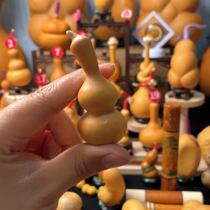 杰***1葫芦丝独奏演员演技还是挺