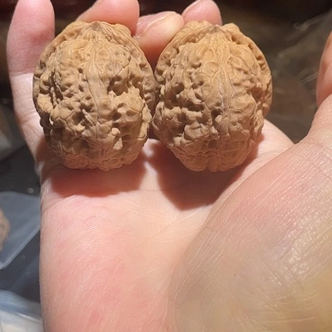 把件文玩核桃十八包带彩磕尖43