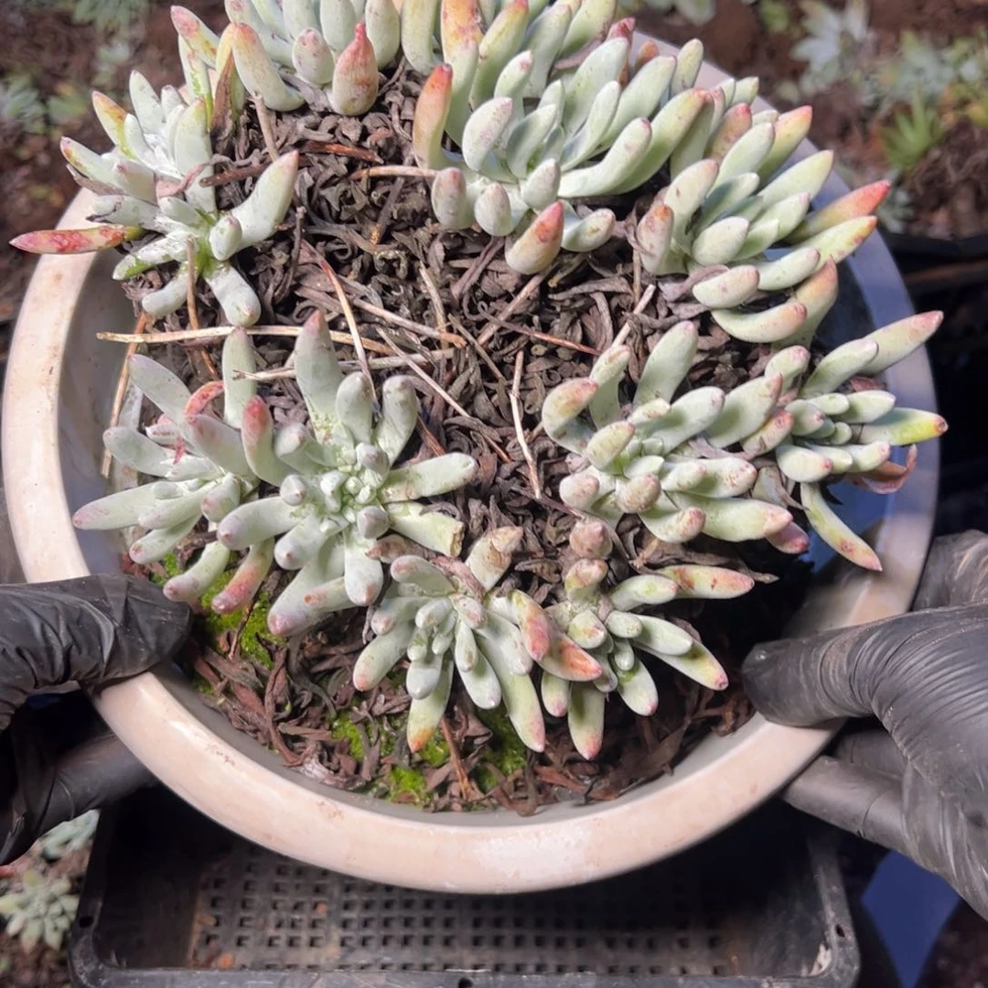 2630哈哈哈哈哈哈哈哈