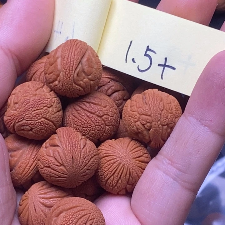 十****秦岭龙纹桃核16颗