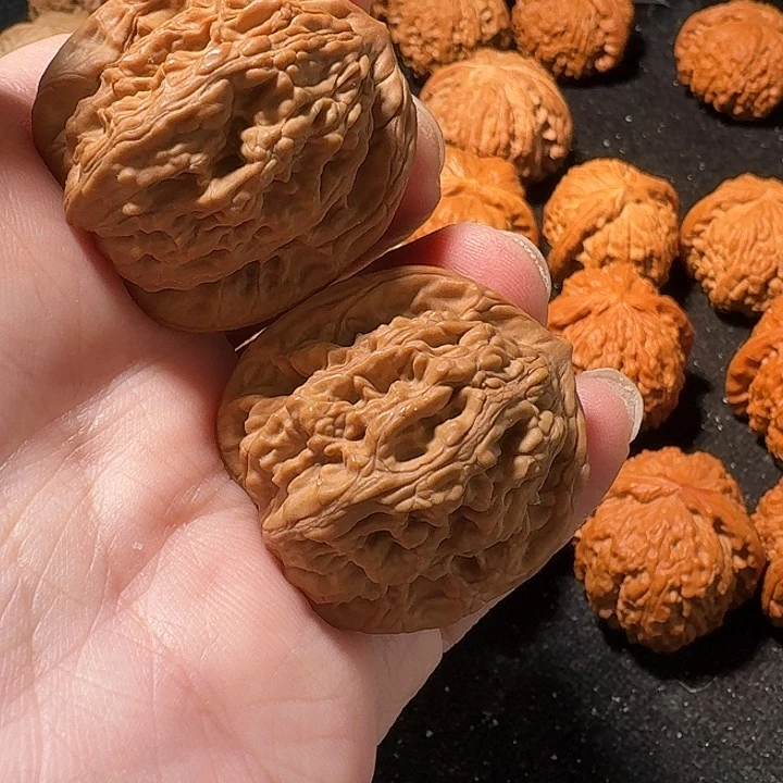 福利，麦穗虎头，加关注。