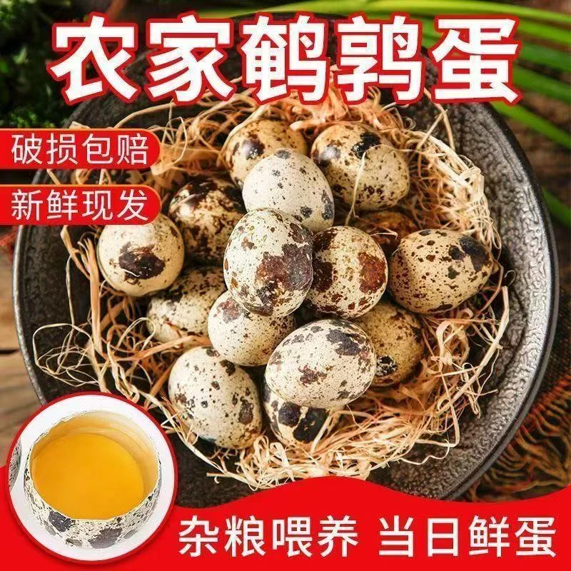 买40枚送10枚到手50枚谷饲营养鹌鹑蛋新鲜农家现产适合宝宝孕妇