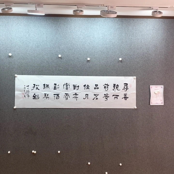 书法书法作品多次参加