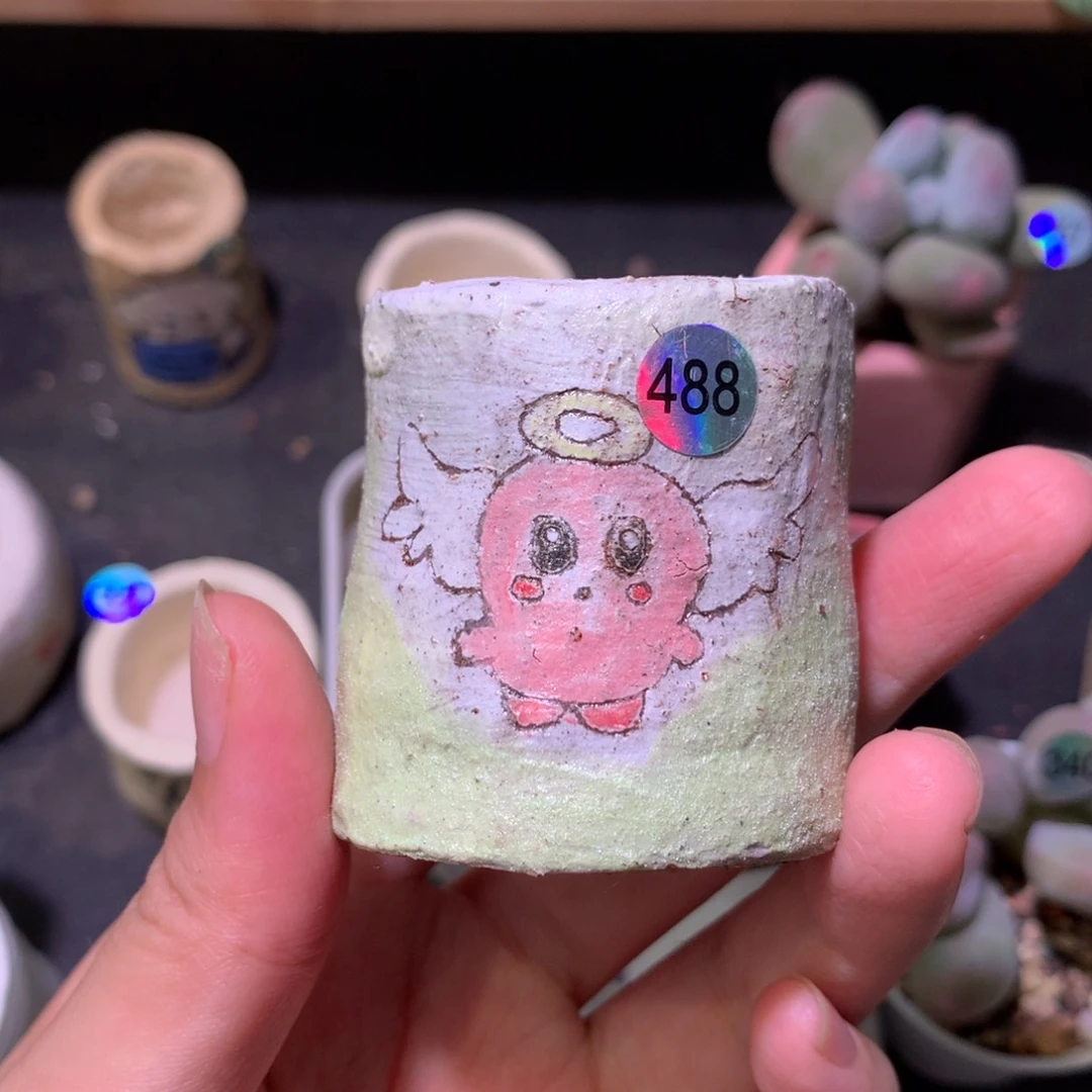 花盆哈哈哈哈哈哈哈哈哈488