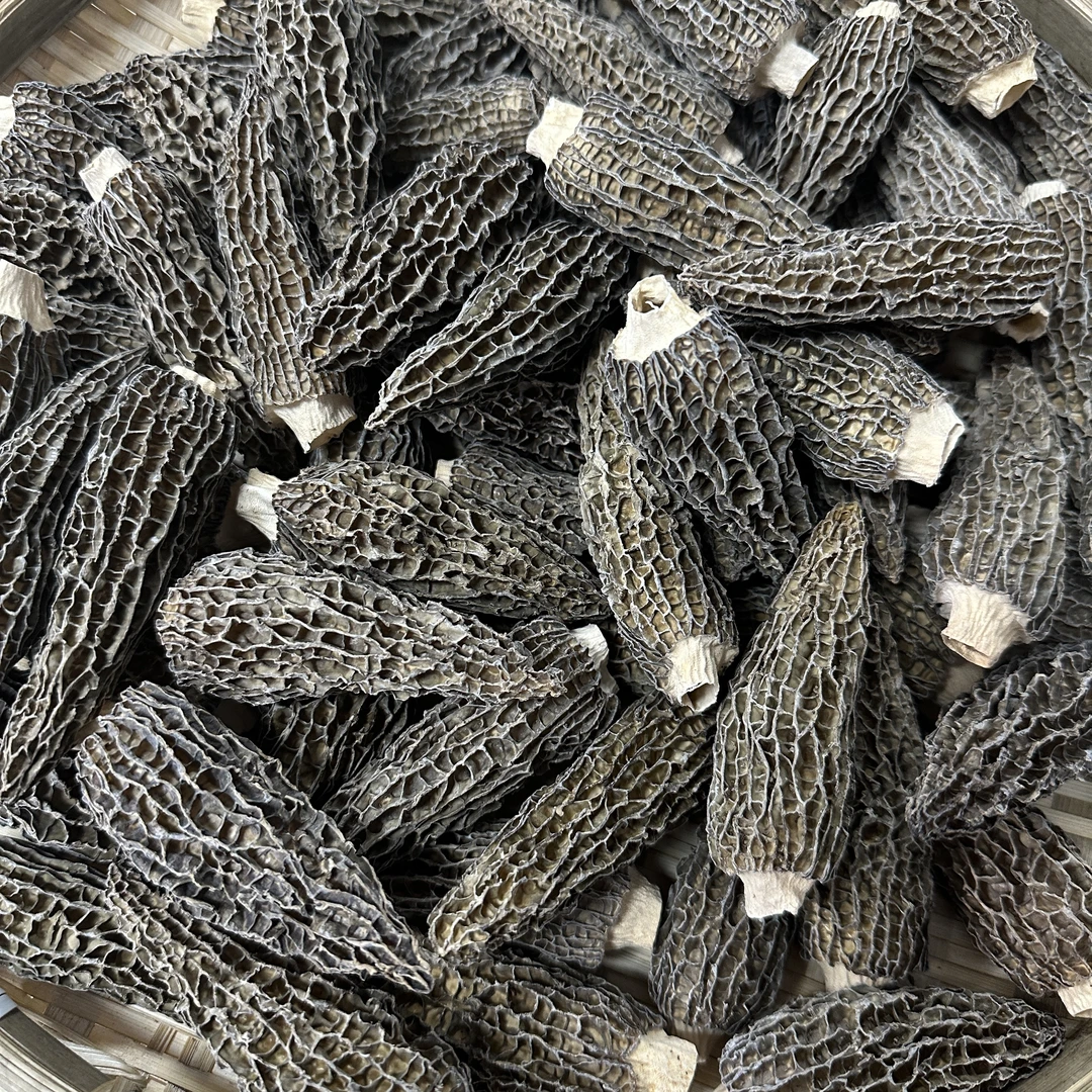 8公分以上羊肚菌 剪脚 250克