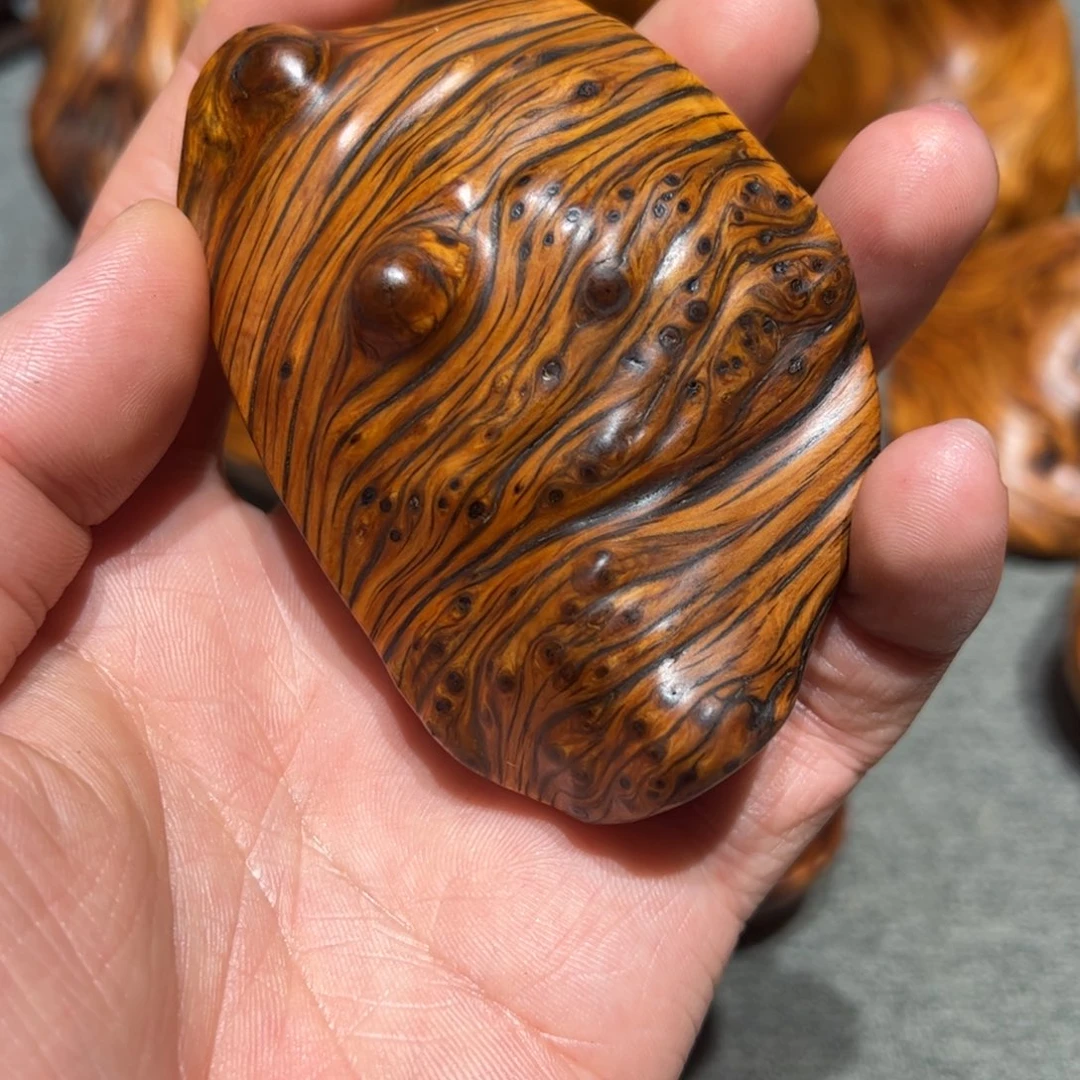 撞*太行崖柏陈化太行