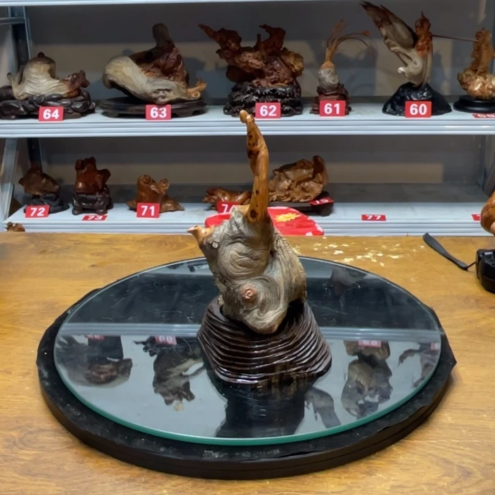 柏木（崖柏）太行崖柏