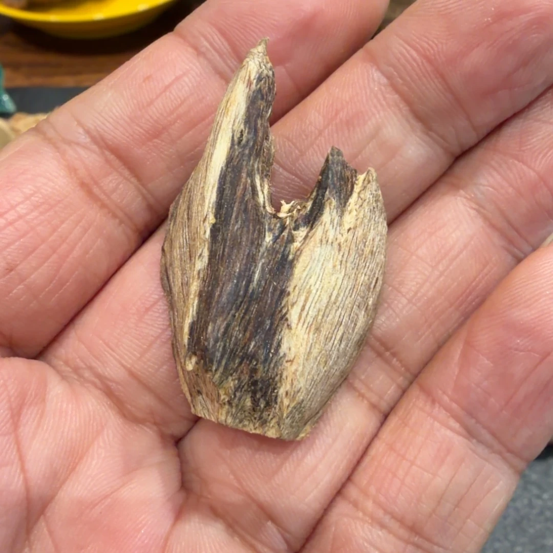 树脂制品一流味道虎斑带心 327 克