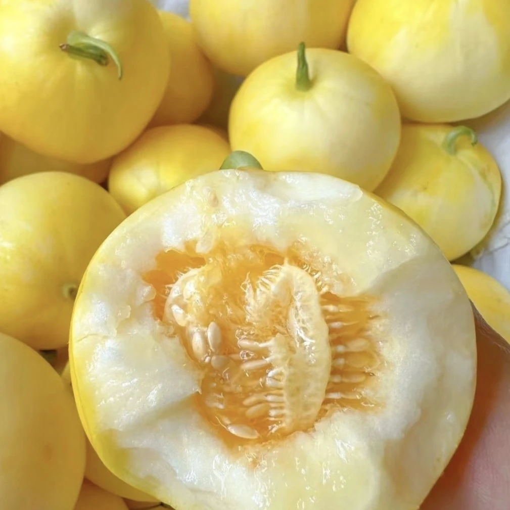 星甜甜瓜19.5元五斤