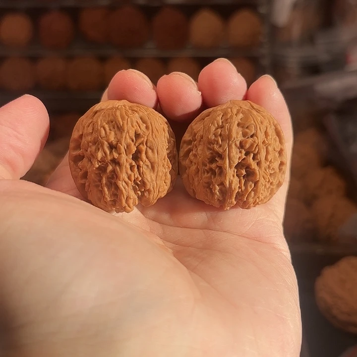 1文玩核桃龙王胆35-353