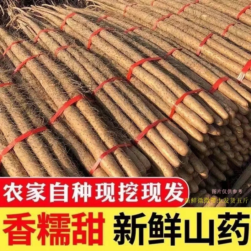 铁棍山药软糯甘香粉面新鲜垆土农家新鲜现挖带土50-70厘米