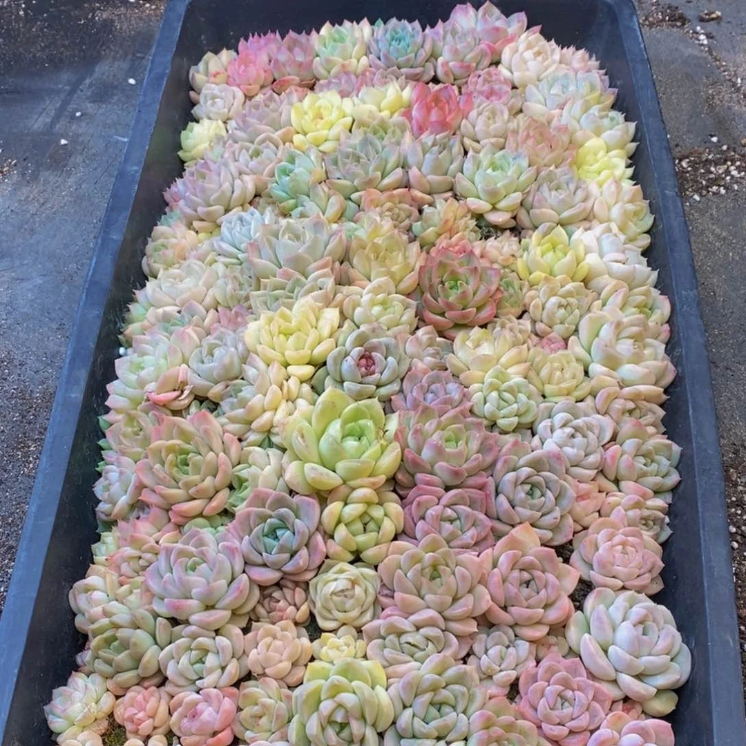 706的人在一起的时候