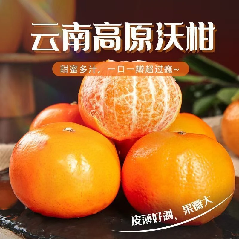 正宗云南大理沃柑甜度高水分多甜多汁新鲜高山橘子现摘现发包邮