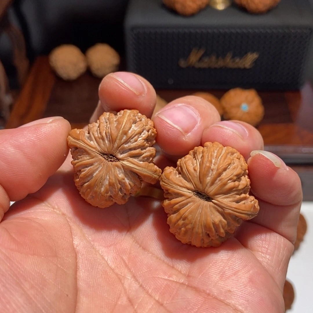 手串/手链核桃牛**天四座楼30