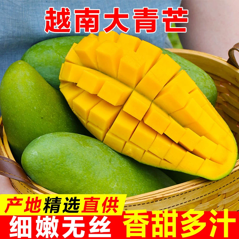 A大青芒越南芒果新鲜热带进口青芒果甜脆大水果甜心芒金煌芒无酸