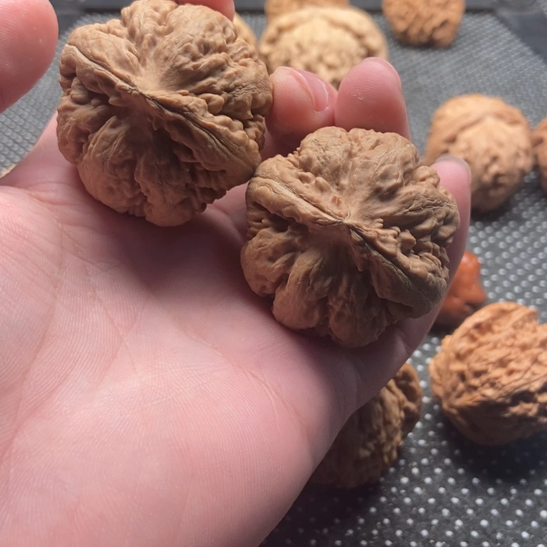 文玩核桃把件山*霸王龙
