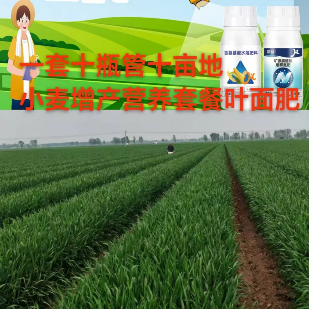一套10瓶管十亩地小麦增产套餐叶面肥