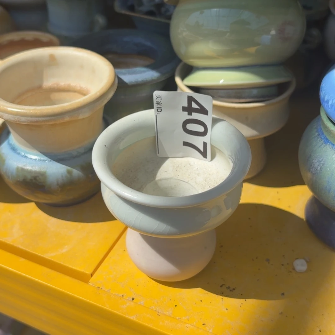 静***静景德镇多肉花盆407