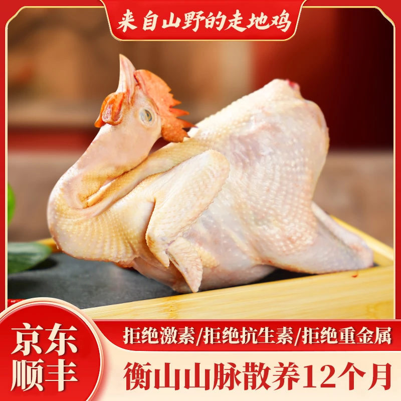 湖南农家散养新鲜湘黄鸡土鸡走地鸡老母鸡 五谷杂粮喂养 现抓现杀