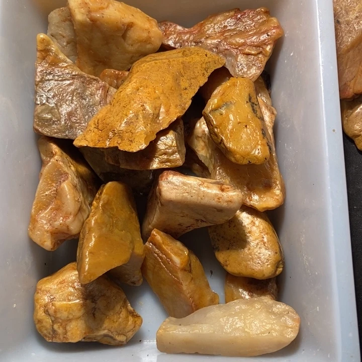 石***乐昌化石昌化田黄石20个