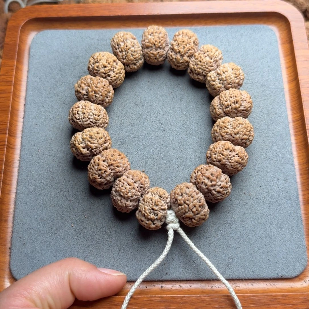 菩提菩提8号尼泊尔大金刚23夹板菠萝蜜