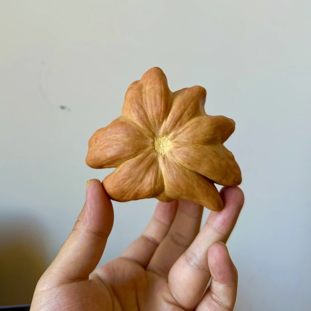 好葫芦狠好的，很可爱。直播间拍有效，随机拍，随机发葫芦一个。