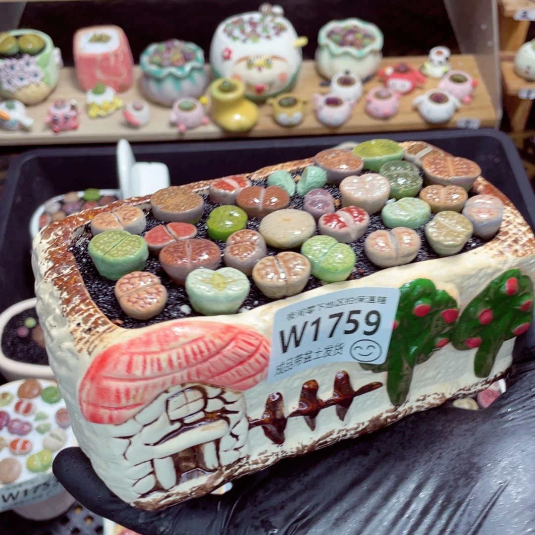 夜间零下地区拍保温箱w1759