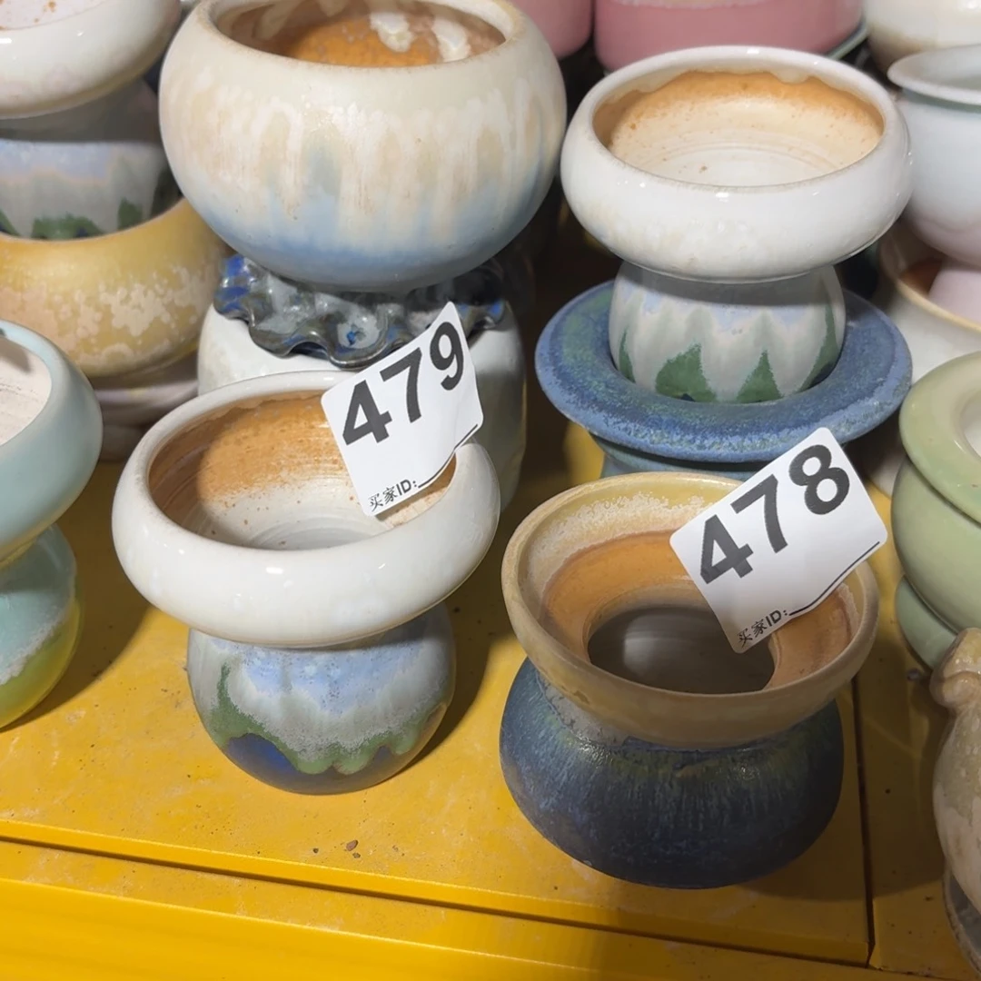 ****G景德镇多肉479+478