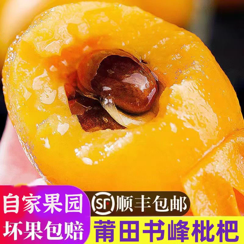 [顺丰包邮]莆田书峰早钟枇杷 现摘新鲜大果应季枇杷水果产地直发