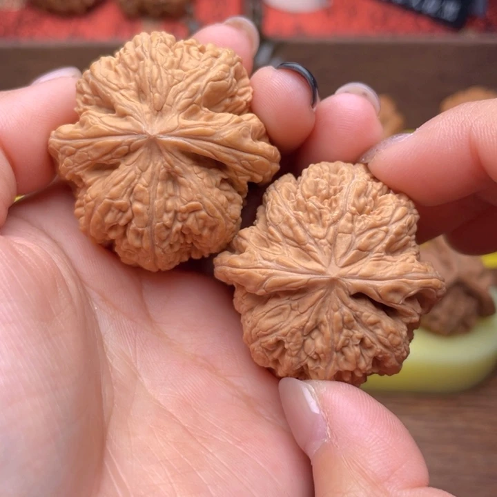 吊坠桃核39全品大粗筋 694