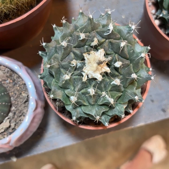 别***水吉祥如意在这条河