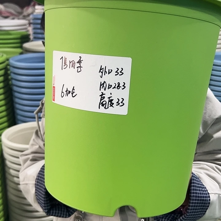 特价7号四季口33高33白色无托6只